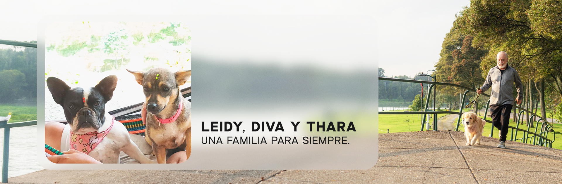 Leidy, Diva y Thara, historias reales Nutriss